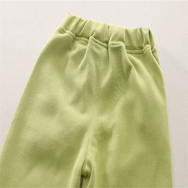 Toddler Boys Dinosaur Tracksuit – Long Sleeve Cartoon Set