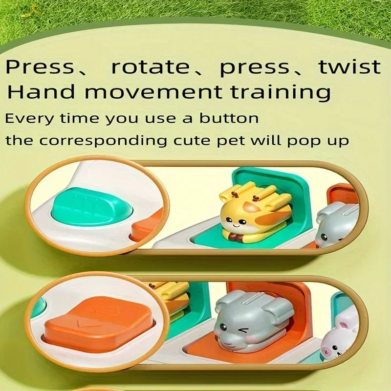 Montessori Pop-Up Animal Toy – Interactive Learning Play Box
