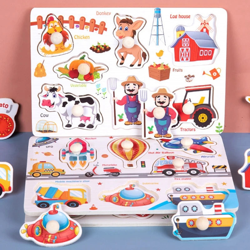 Montessori Wooden 3D Puzzle Boards – Educational Baby Toys