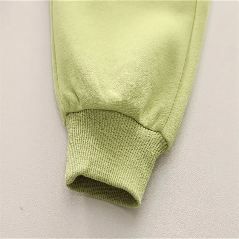 Toddler Boys Dinosaur Tracksuit – Long Sleeve Cartoon Set